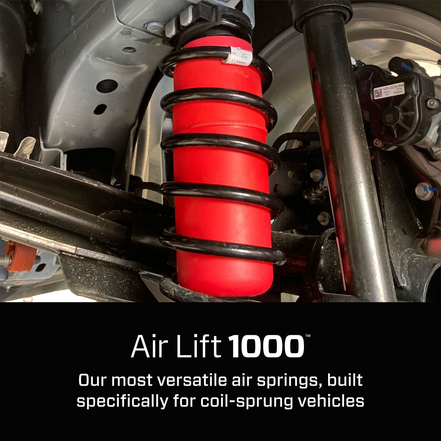 60754_AirLift1000_Carousel_04 - B935B21A-9E75-4D50-A611BA8AF9550AD3