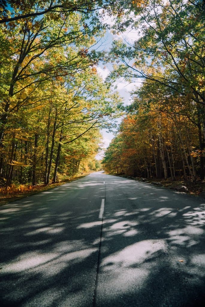 Scenic road in Acadia National Park