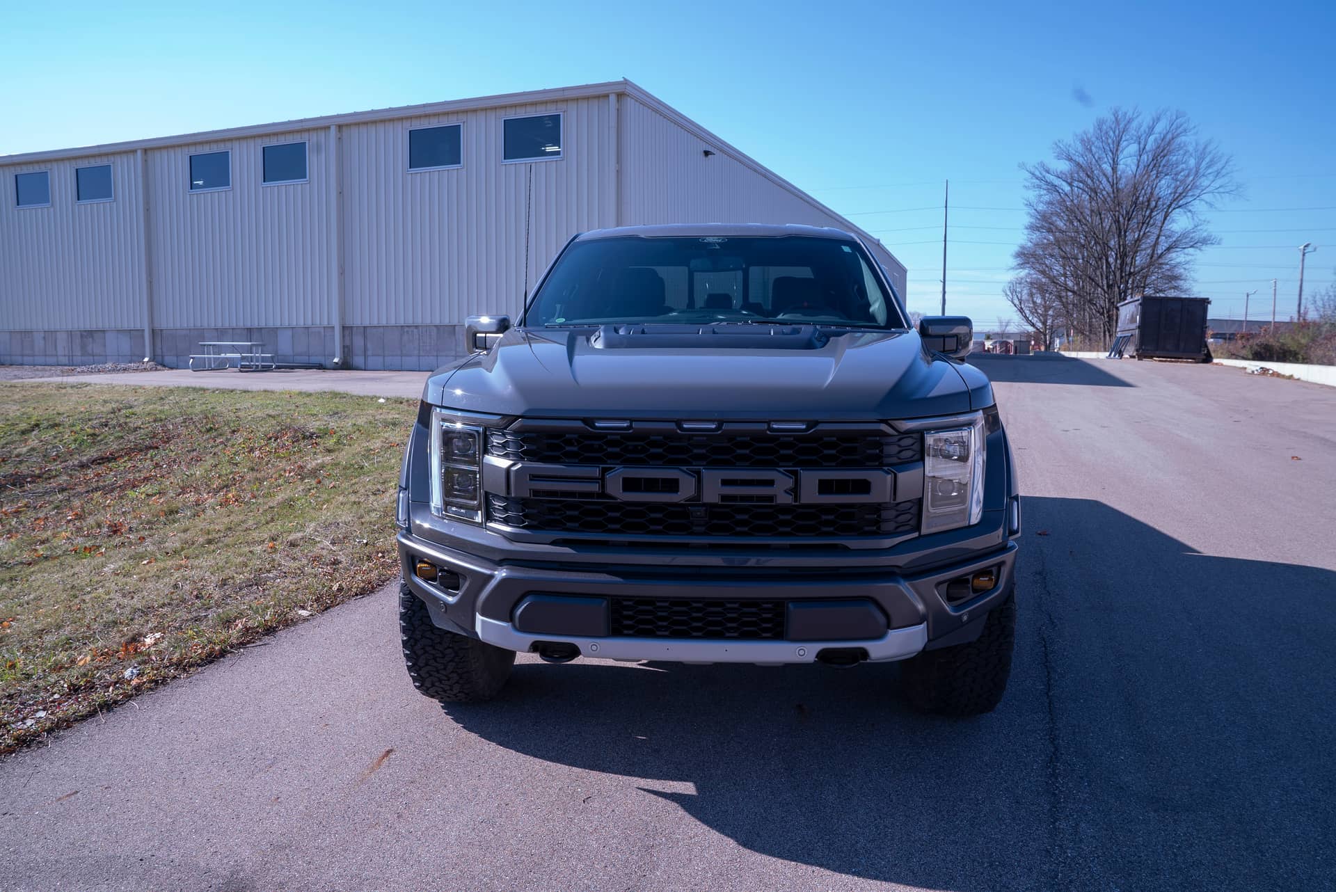 DSC06465 raptor