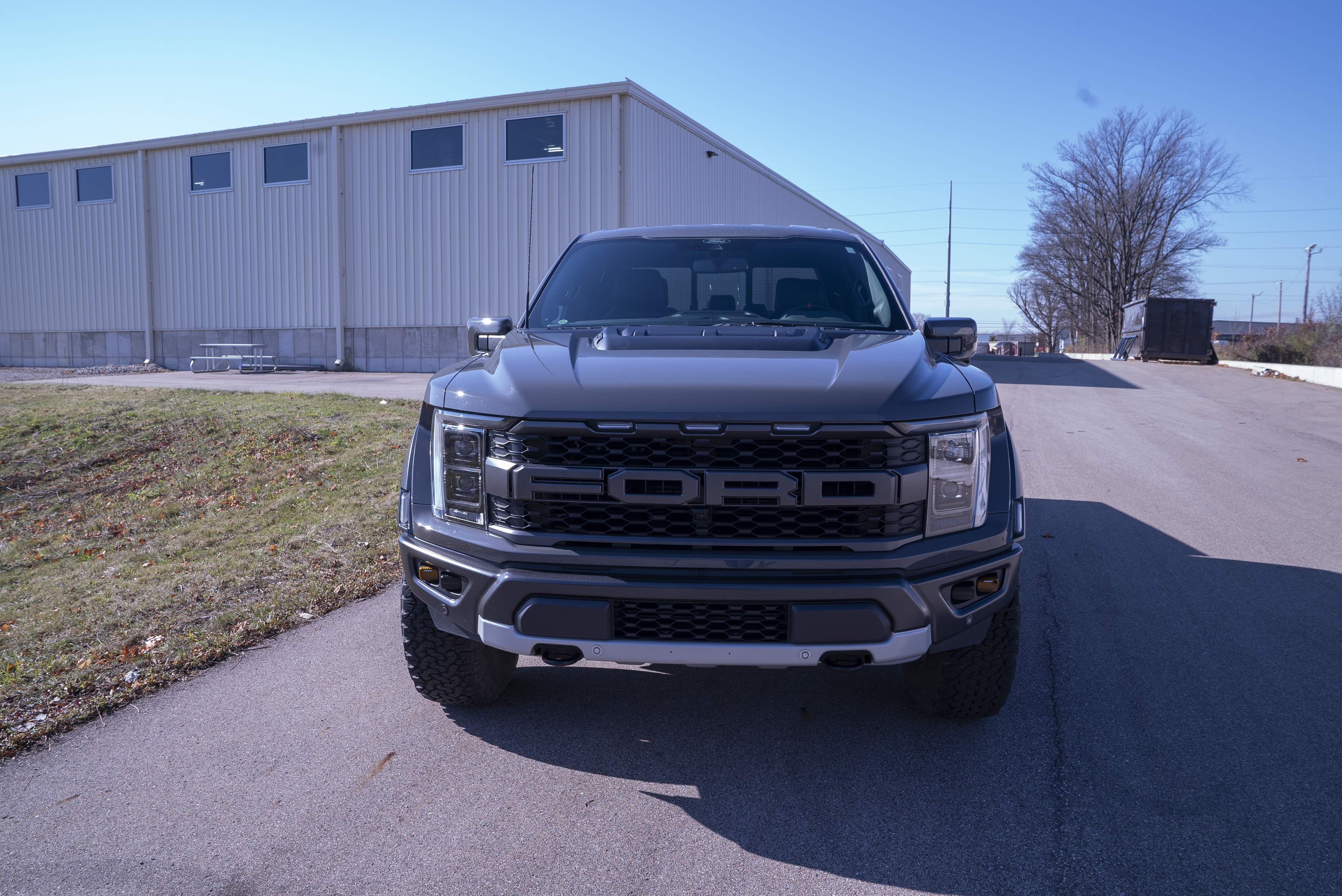 DSC06465 raptor